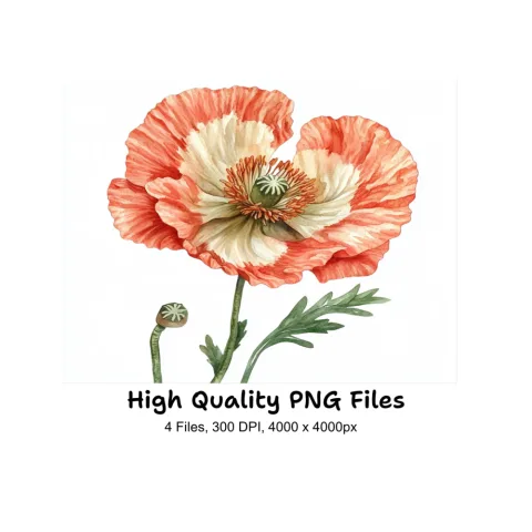Vibrant Red Poppy Flower Clipart Bundle