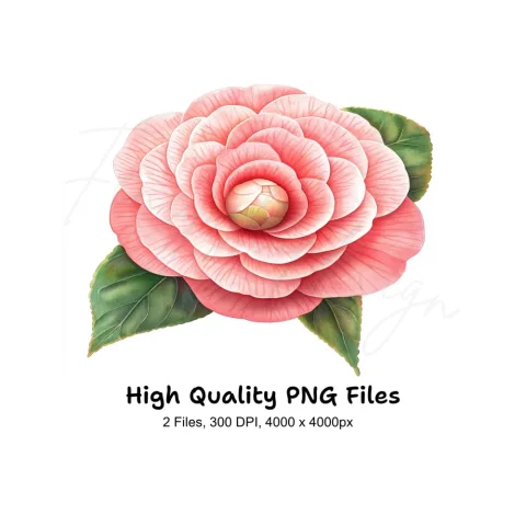 Vibrant Red Camellia Blossom Clipart Bundle