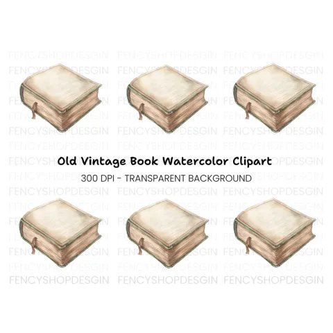 Single Vintage Book Clipart Bundle