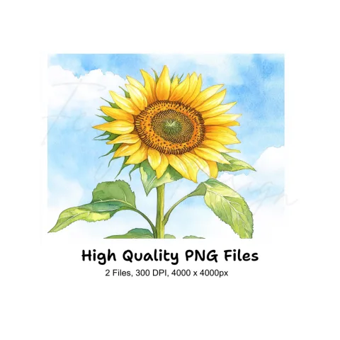 Bright Sunflower Illustrations Clipart Bundle