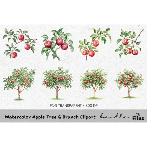 Apple Tree Branch Clipart Bundle