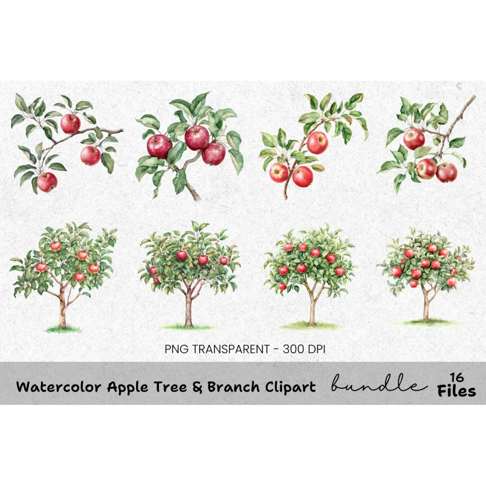 Apple Tree Branch Clipart Bundle