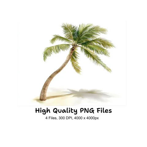 Palm Tree Clipart Bundle