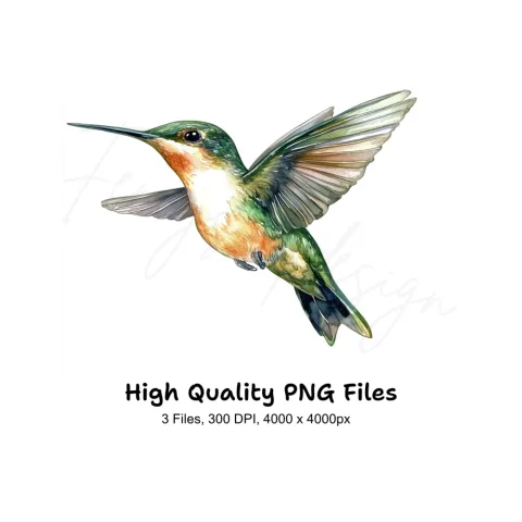 Ruby Throated Hummingbird Clipart Bundle