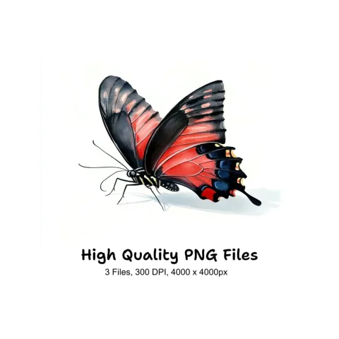 Red and Black Butterfly Clipart Bundle