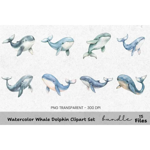 Whale and Dolphin Clipart Bundle