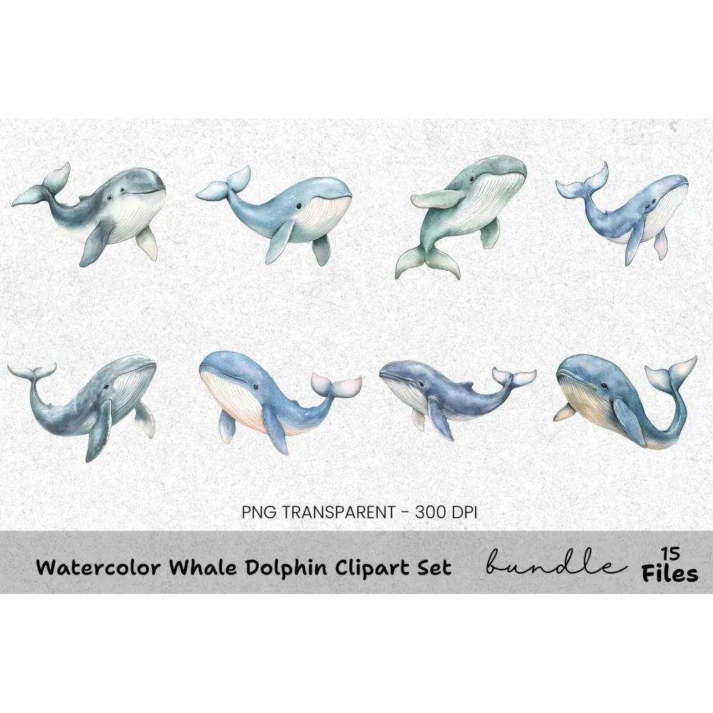 Whale and Dolphin Clipart Bundle