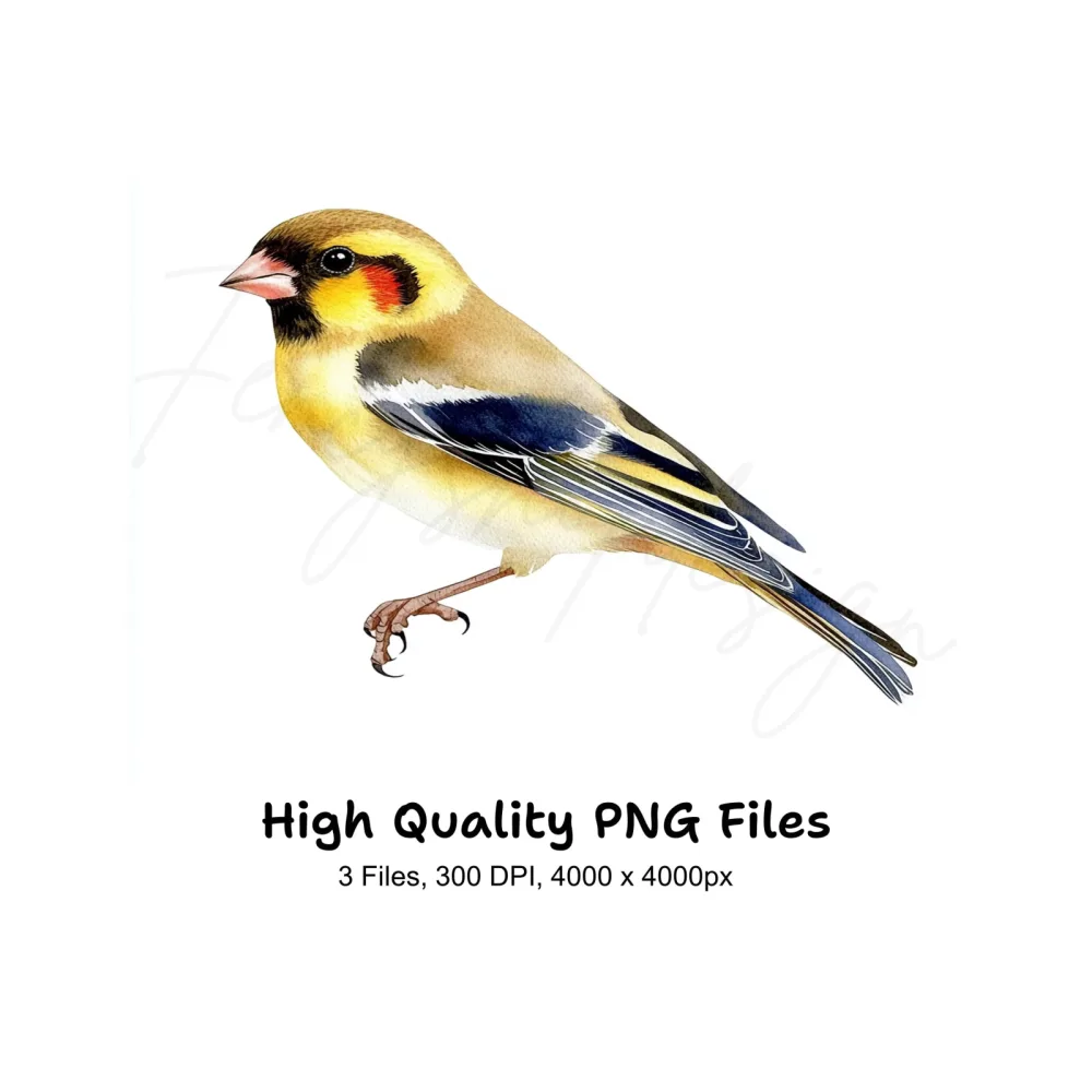 Goldfinch Bird Clipart Bundle