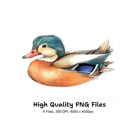 Cute Mandarin Duck Clipart Bundle