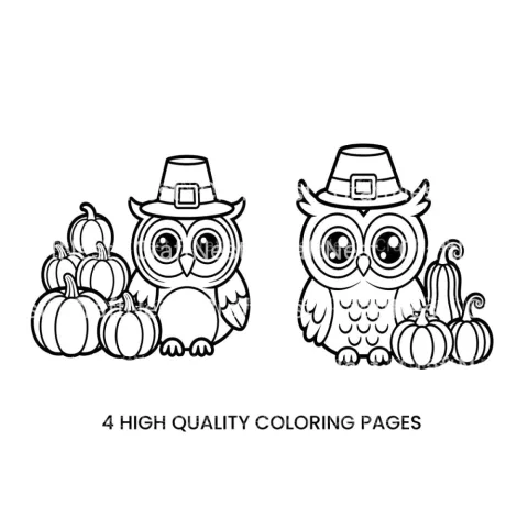 Thanksgiving Owl and Pumpkins Coloring Books