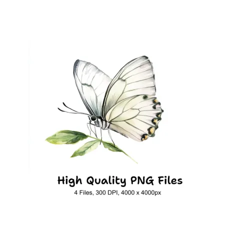 Elegant White Butterfly Clipart Bundle