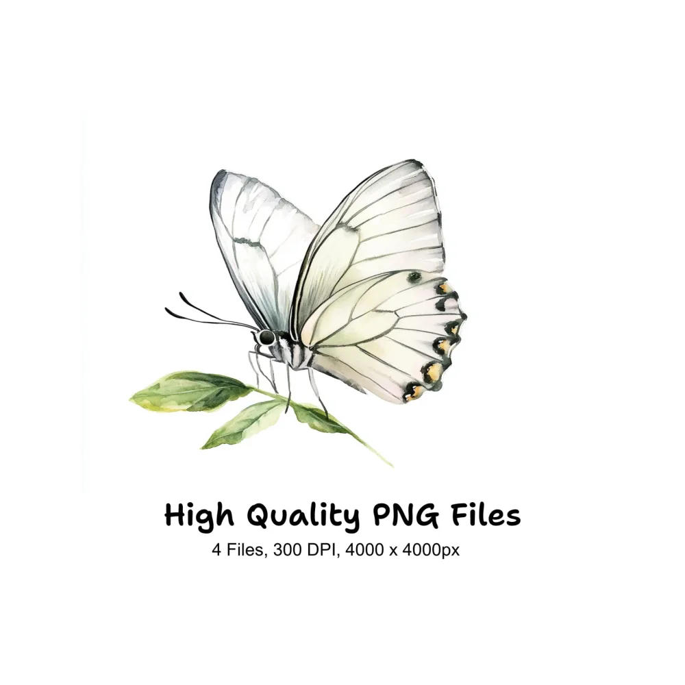 Elegant White Butterfly Clipart Bundle