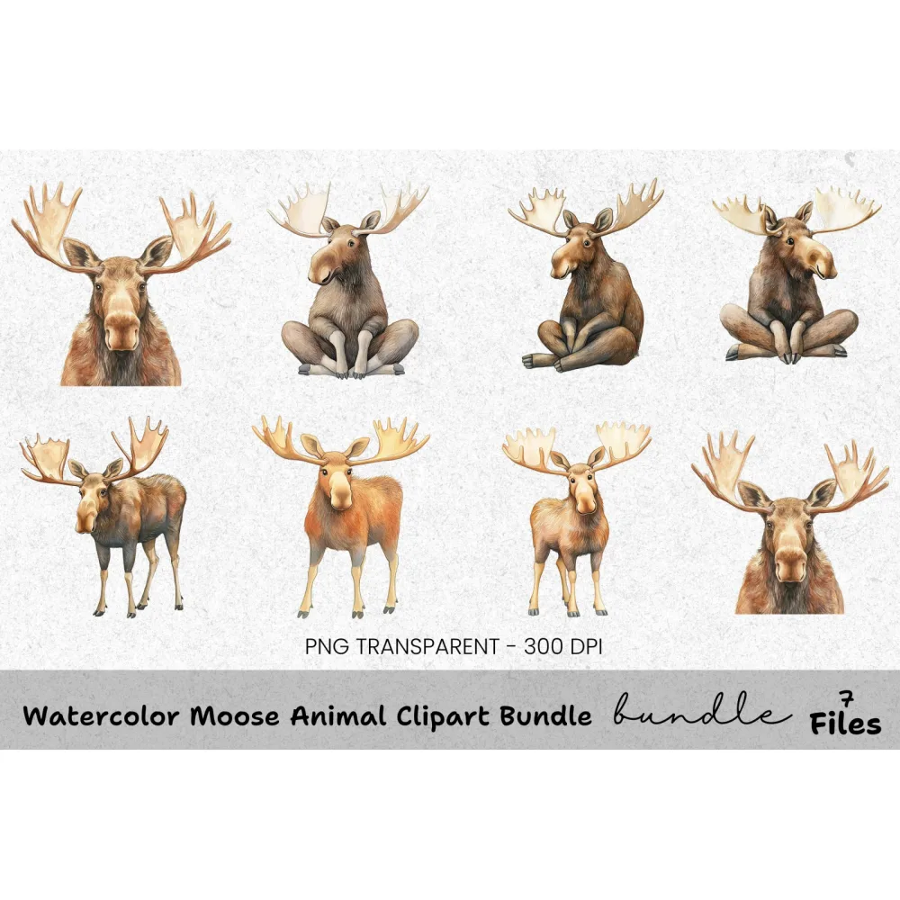 Moose Animal Clipart Bundle
