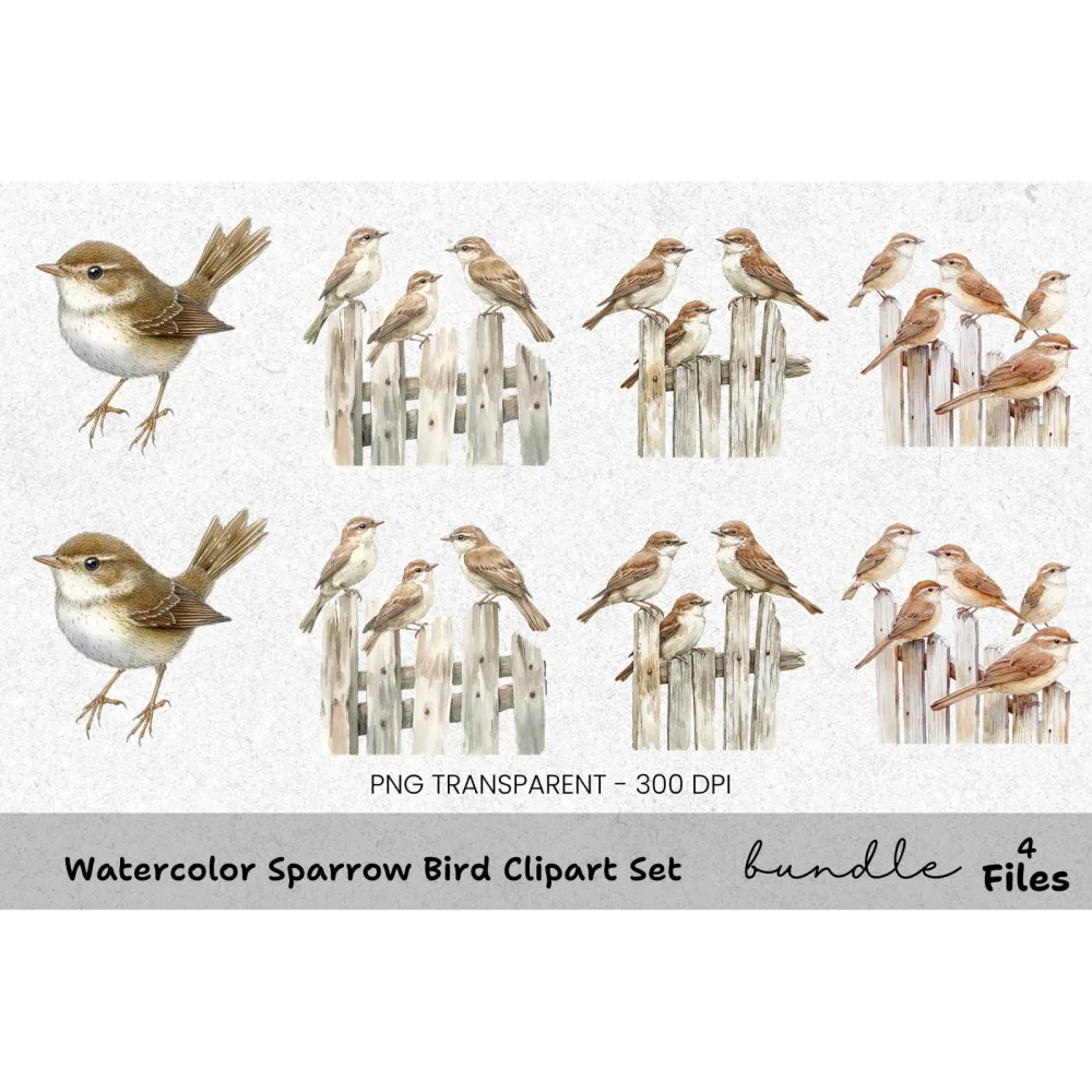 Sparrow Bird Clipart Bundle