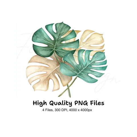 Monstera Leaves Clipart Bundle