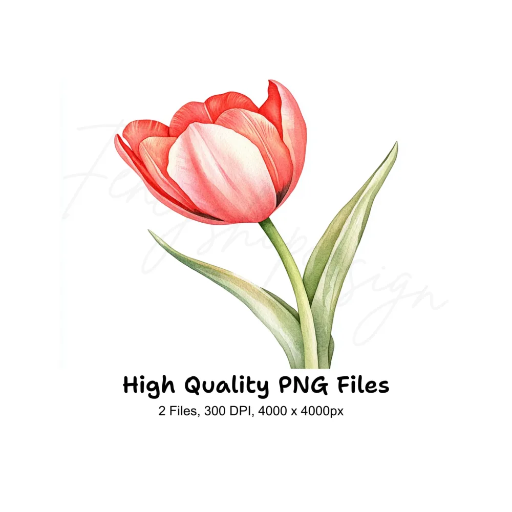 Vibrant Red Tulip Clipart Bundle