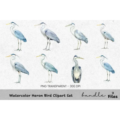 Heron Bird Clipart Bundle