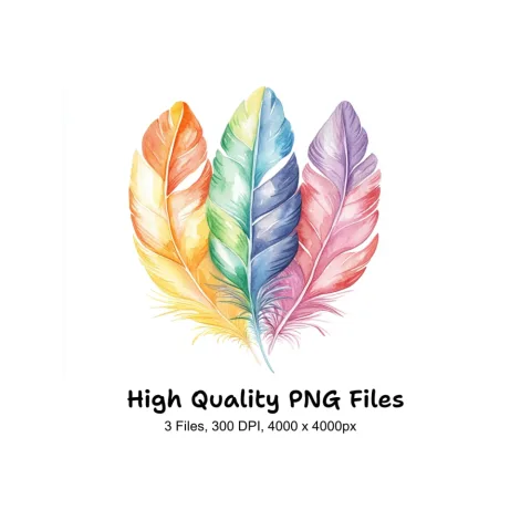Assorted Colorful Feather Clipart Bundle