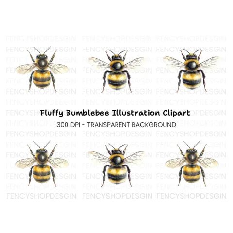 Top Down Bumblebee Clipart Bundle