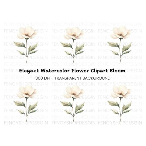Elegant White Floral Clipart Bundle