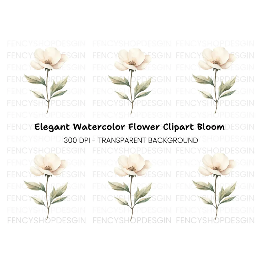 Elegant White Floral Clipart Bundle