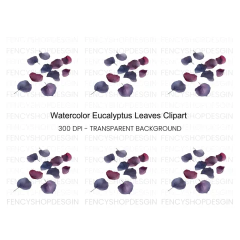 Eucalyptus Leaves Clipart Bundle
