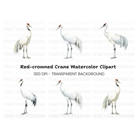 Majestic White Crane Clipart Bundle