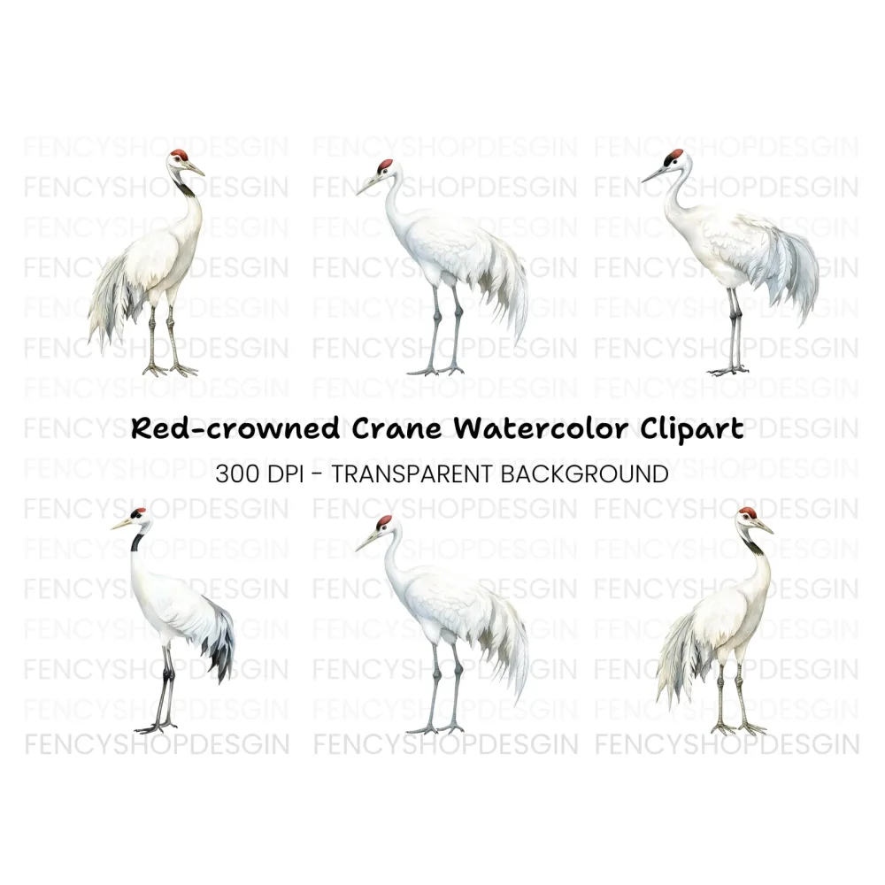 Majestic White Crane Clipart Bundle