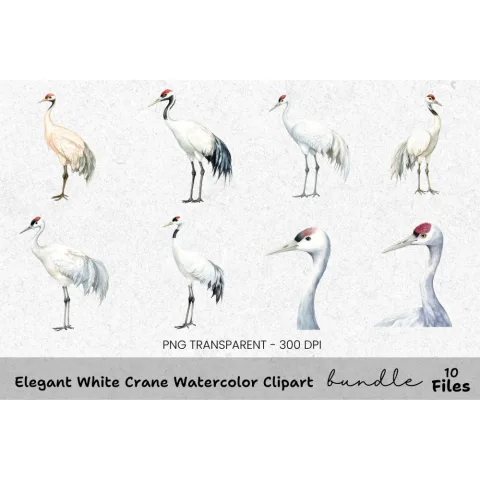 Elegant White Crane Clipart Bundle
