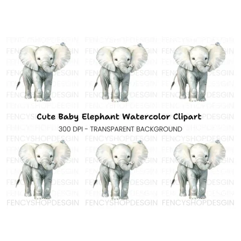 Cute Baby Elephant Clipart Bundle