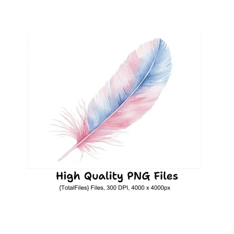 Pastel Feather Clipart Bundle