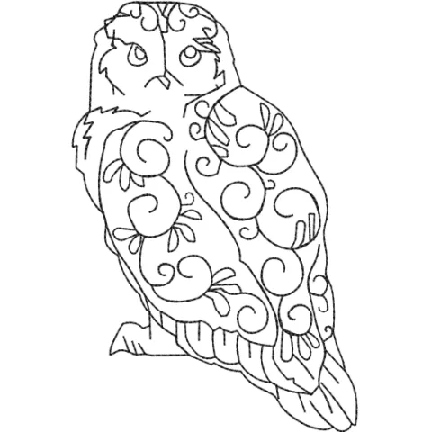 Owel Embroidery Design