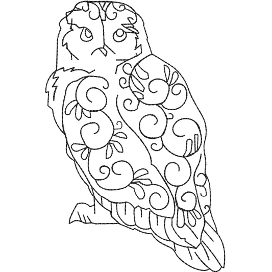 Owel Embroidery Design