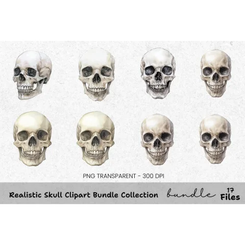 Realistic Skull Clipart Bundle