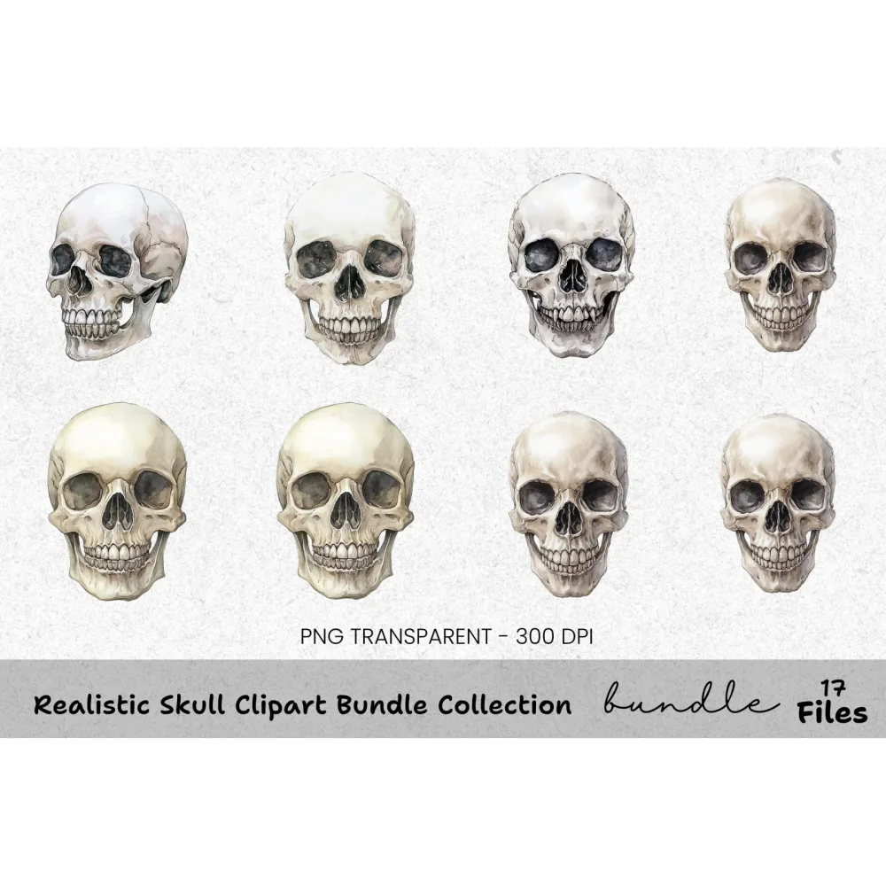 Realistic Skull Clipart Bundle