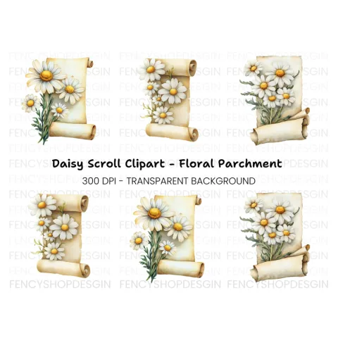 Daisy Scroll Clipart Bundle