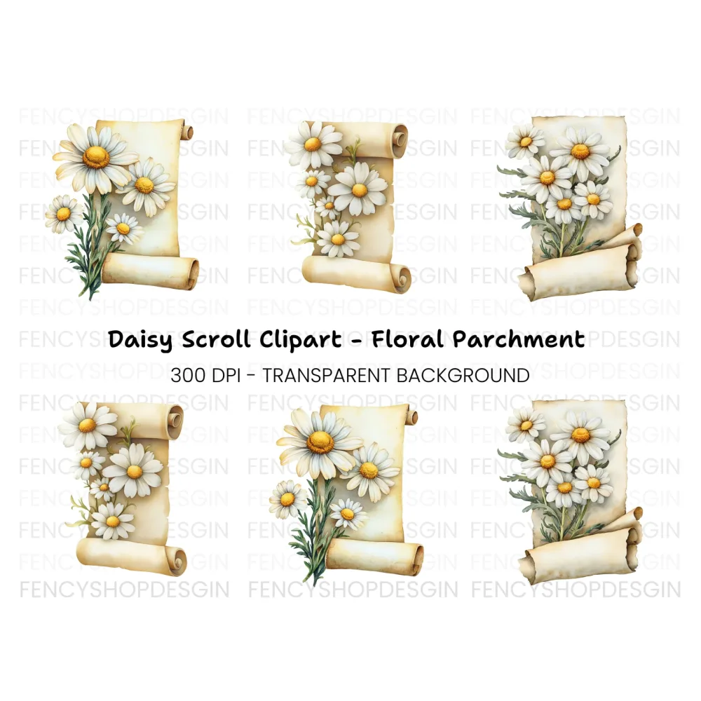 Daisy Scroll Clipart Bundle