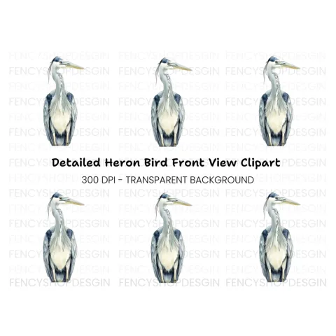 Front Facing Heron Clipart Bundle