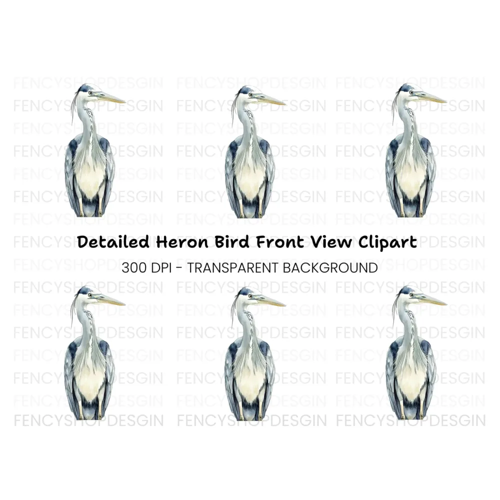 Front Facing Heron Clipart Bundle