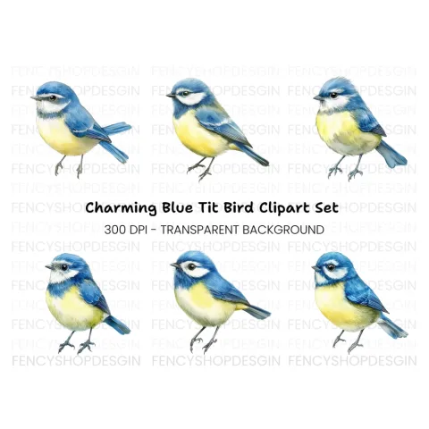 Blue Tit Bird Clipart Bundle