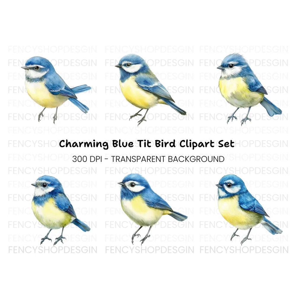 Blue Tit Bird Clipart Bundle