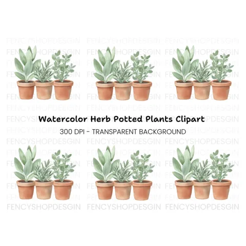 Herb Plants in Terracotta Pots Clipart Bundle