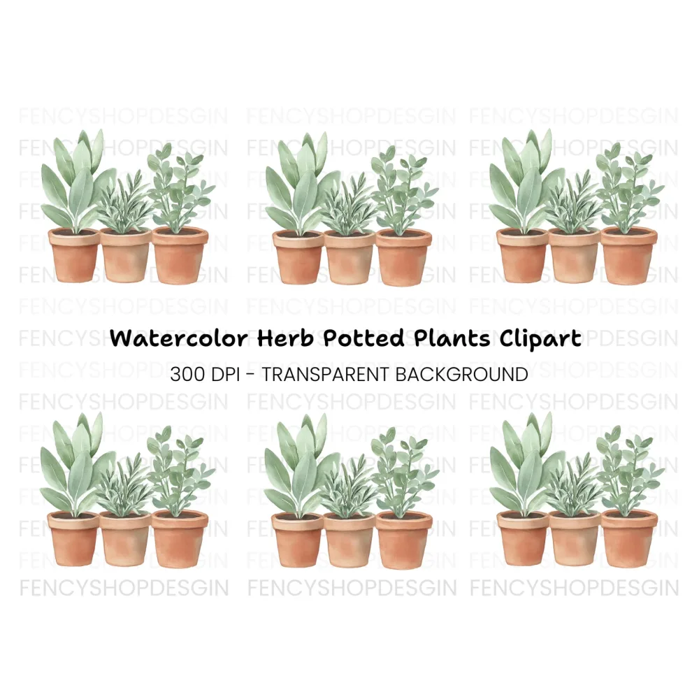Herb Plants in Terracotta Pots Clipart Bundle