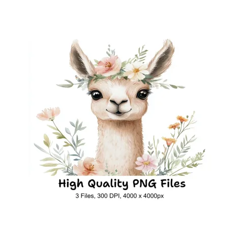 Cute Llama with Floral Accents Clipart Bundle