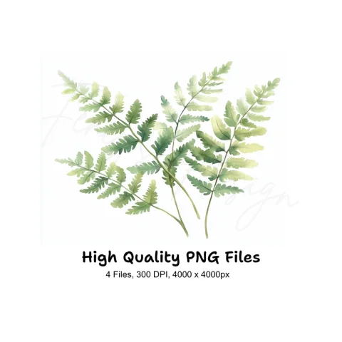 Delicate Fern Clipart Bundle