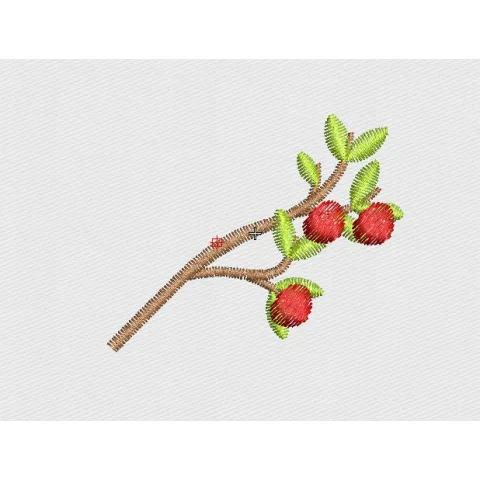 Apple Embroidery Design