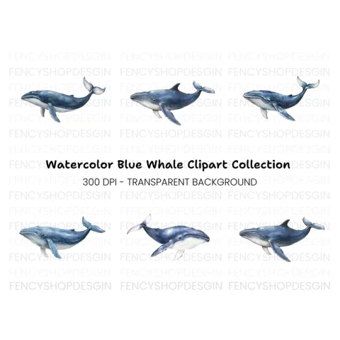 Blue Whales Clipart Bundle