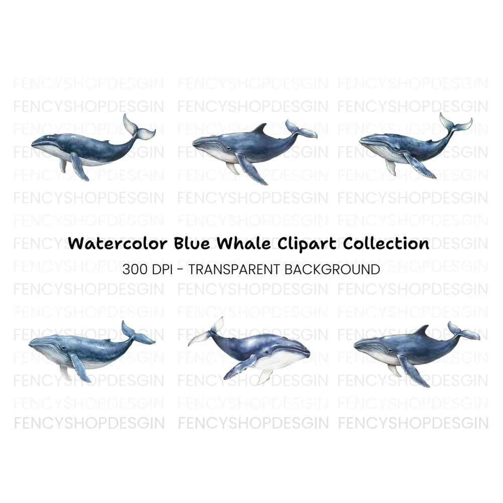 Blue Whales Clipart Bundle