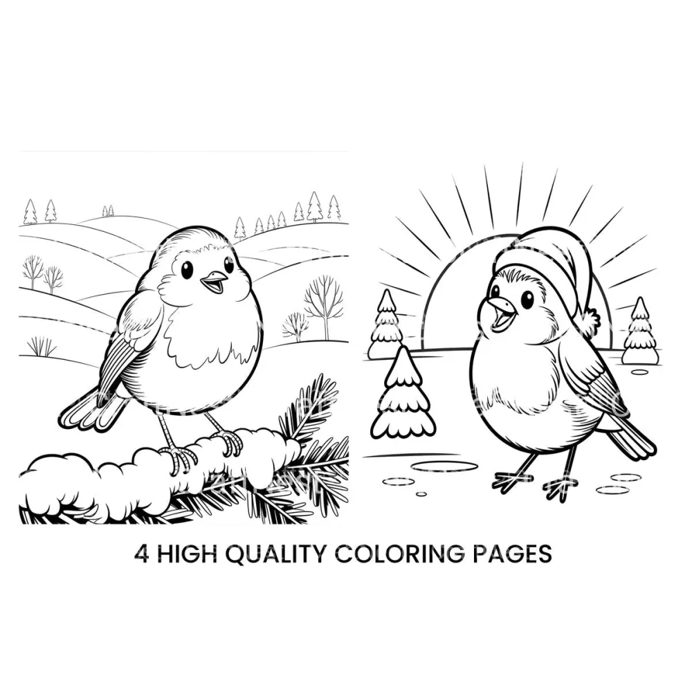 Cute Winter Birds Coloring Books