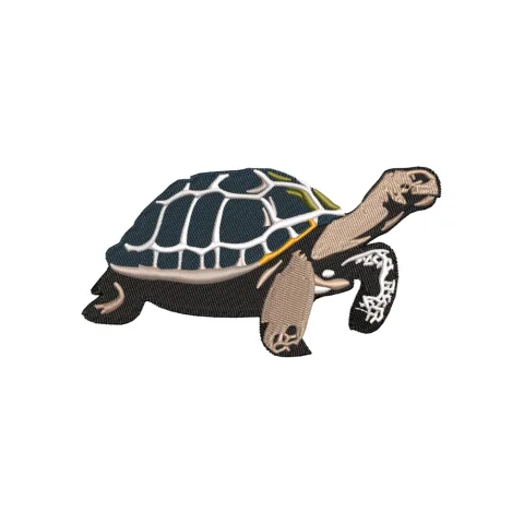 Turtle Embroidery Design